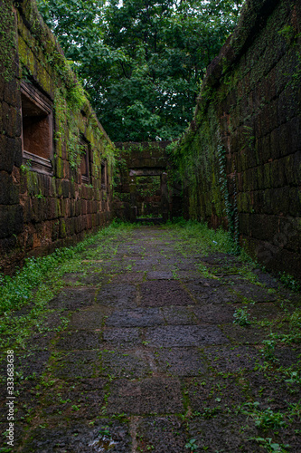 Overgrown stone temple Laos