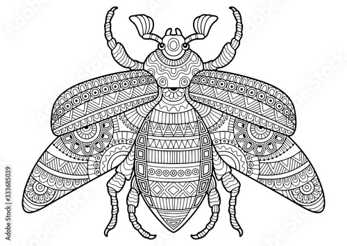 Coloring book for adult. Vector black and white image of a bug on white background. Hand drawn contour-outline insect