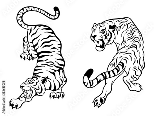 Set of big tigers. Collection of portraits of predatory wild cats. Set of wildlife and fauna dwellers. Vector illustration on a white background. Tattoo.