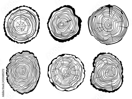 Set of Tree slice. Collection of cut tree trunk. Industrial wood.Vector illustration on a white background.