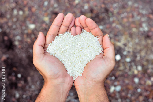 Hands holding rice...