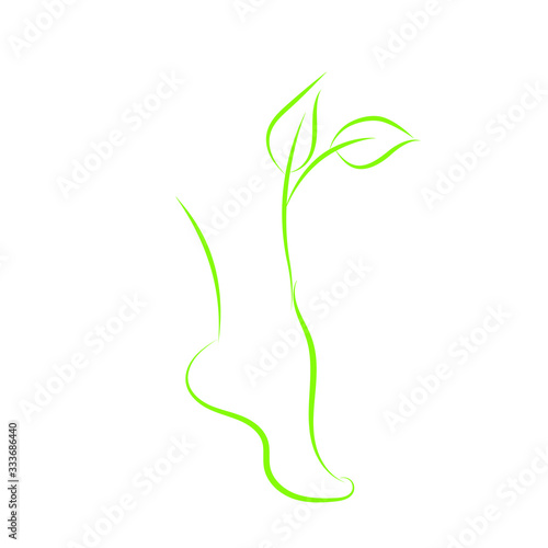 Healthy female feet spa symbol leg silhouette and green sprout. Green foot contours with leaves that grow and a nice legs scent. Woman legs vector illustration for design and icon