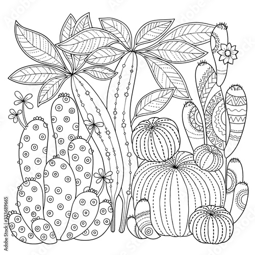 Vector coloring book for adult. Cute cacti and succulents with spines and flowers. Black and white outline image on a white background