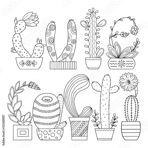 Vector coloring book for adult. Cute cacti and succulents with spines and flowers. Black and white outline image on a white background