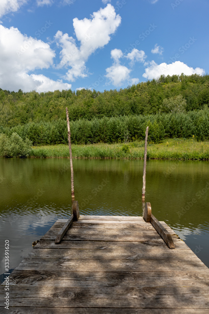 lake in the forest