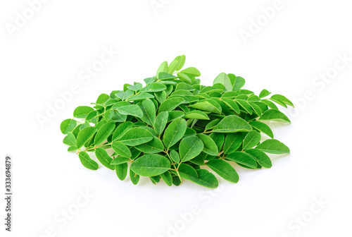 Fresh moringa leaf on white background