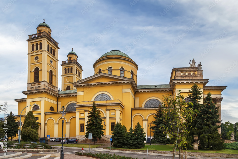Cathedral Basilica of Eger, Hungary