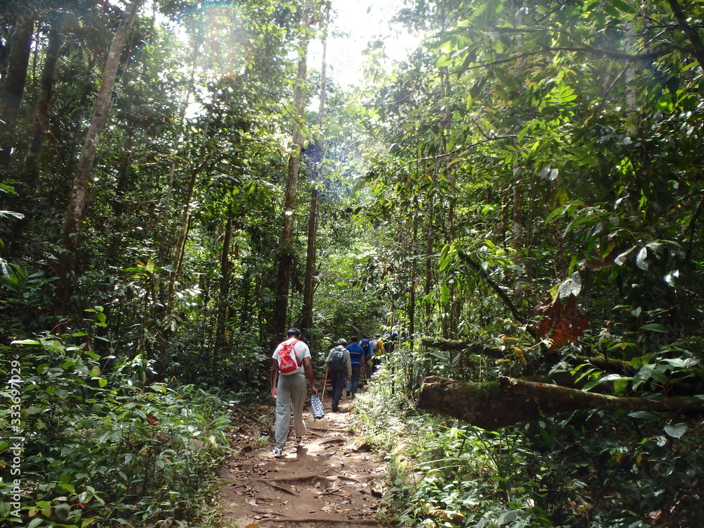 ジャングル探検