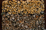Brennholz, gestapelt