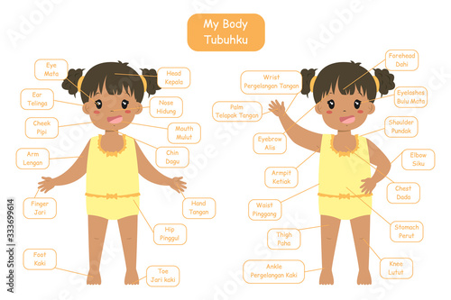 "My body parts" bilingual vocabularies design for children. Cute African American girl body anatomy vocabularies, cartoon vector. 