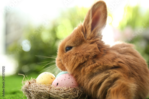 Adorable fluffy bunny and decorative nest with Easter eggs outdoors, closeup