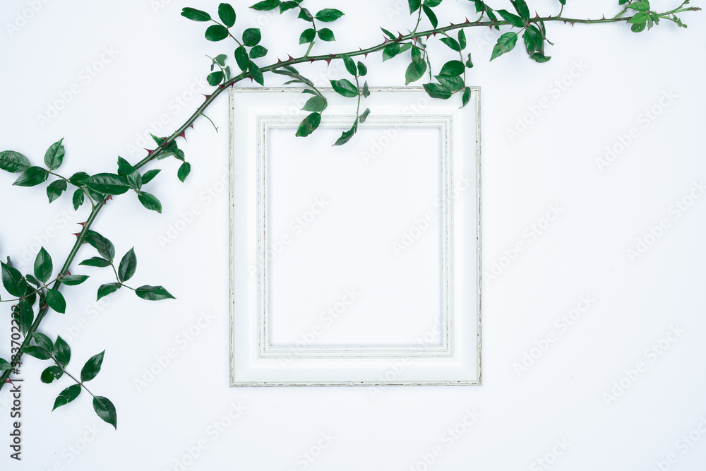 Green leaves with white photo frame on white background. Flat lay, top view, space.