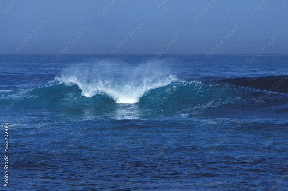 WAVE IN PACIFIC OCEAN, CALIFORNIA .