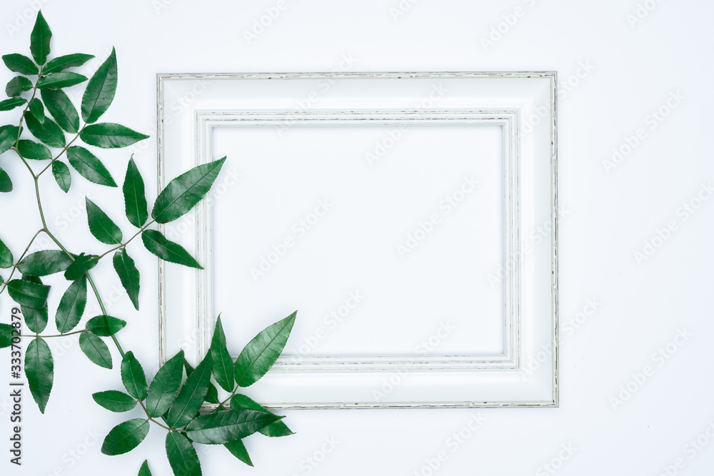Green leaves with white photo frame on white background. Flat lay, top view, space. Green leaves with white photo frame on white background. Flat lay, top view, space.