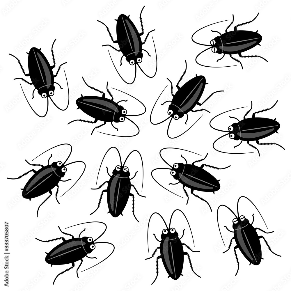 72 Best クロゴキブリ Images Stock Photos Vectors Adobe Stock