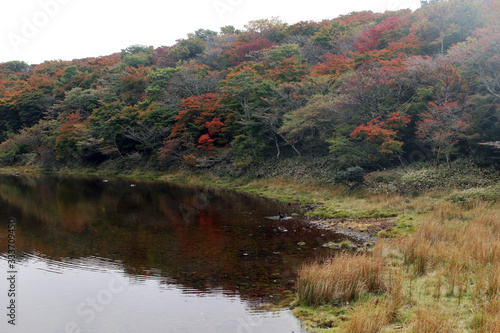 Hallsan in fall