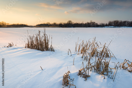 Sunset light on cattails on the snow-covered shoreline of a small Midwest lake in winter.