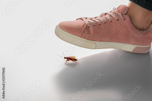 Φωτογραφία Woman crushing cockroach with feet on white background, closeup