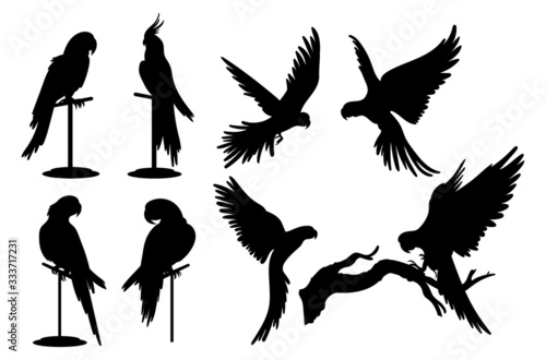 Set of silhouettes of parrots. Collection of tropical birds from the Amazon jungle. Domestic parrot on a sit on a stand. Zoo.Vector illustration on a white background.