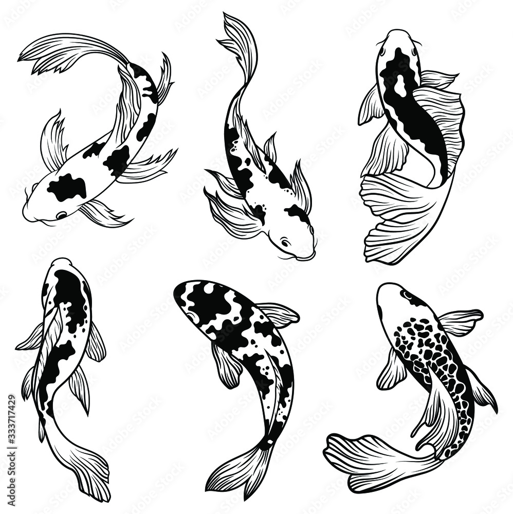 Vetor De Set Of Koi Carps Fish. Сollection Of Silhouettes Of Asian  Ornamental Fish For A Pond. Top View Of Fish. Vector Illustration For  Decorative Fishing. Do Stock | Adobe Stock