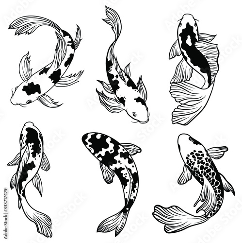 Set of koi carps fish. Сollection of silhouettes of Asian ornamental fish for a pond. Top view of fish. Vector illustration for decorative fishing.