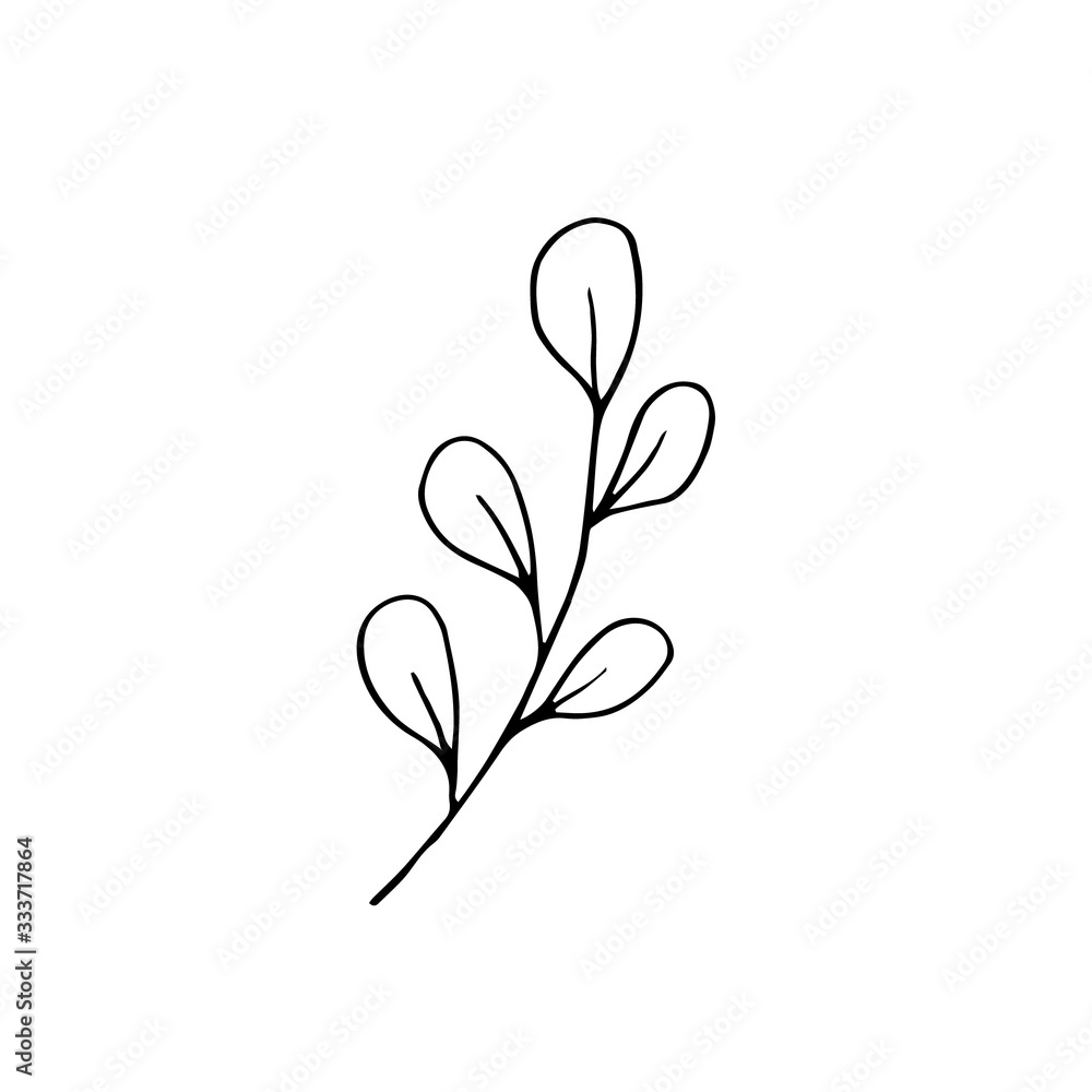 Branch with leaves and buds isolated on a white background. Vector doodle illustration. Sketch. Line style Branch with leaves and buds isolated on a white background. Vector doodle illustration. Sketch. Line style
