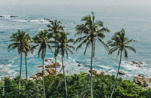 Rocky beach with palm trees and green, blue ocean water. Tropical view concept