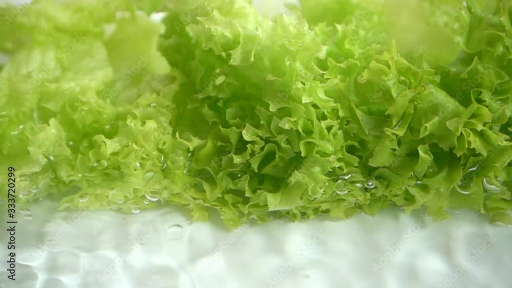 Washing of lettuce leaves. Slow motion. Washing of lettuce leaves. Slow motion.