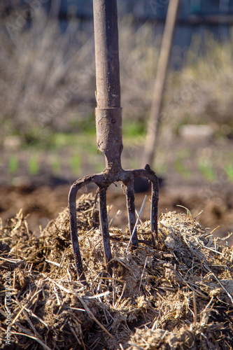 Valokuvatapetti pitchfork in manure on the farm