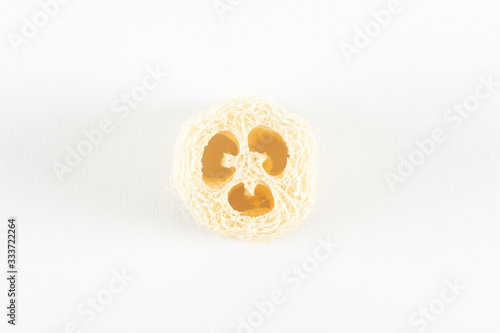 Natural environmental loofah lies on a white background core turned towards us.