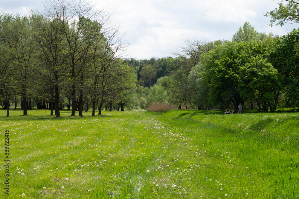 Park landscape