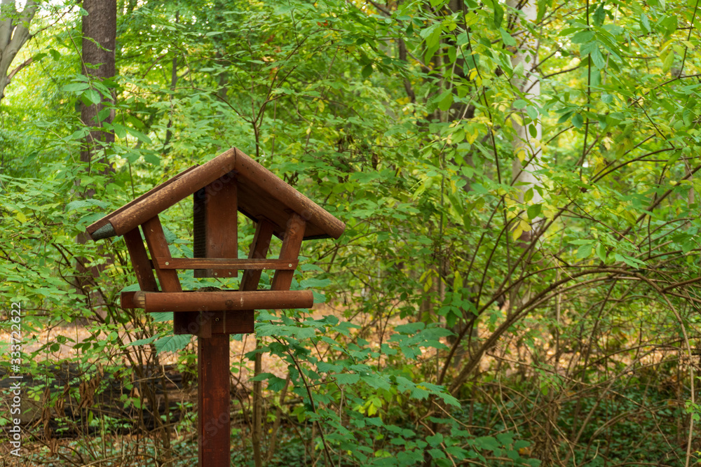 Wooden, open bird house standing in a forest Wooden, open bird house standing in a forest