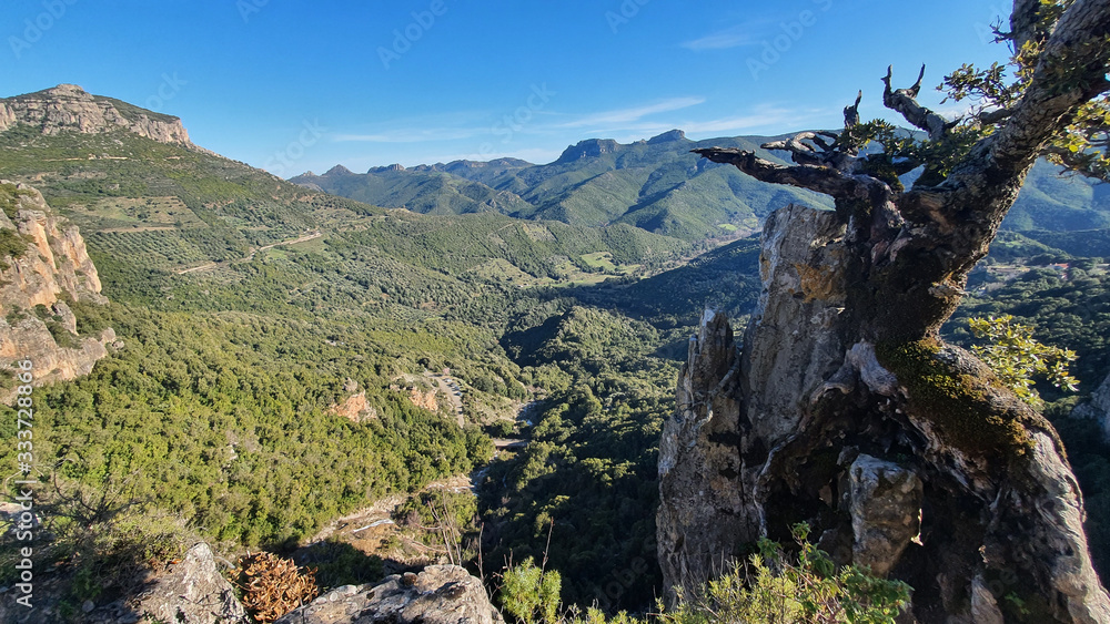 Fototapeta premium view of mountains