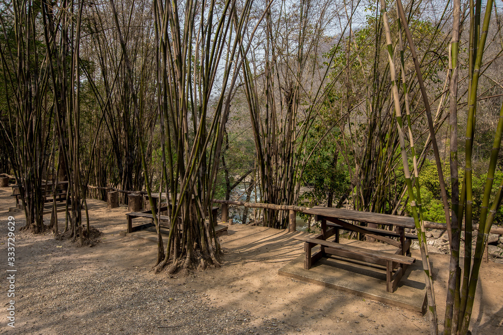 Table, Summer, Public Park, Formal Garden, Breakfast Table, Summer, Public Park, Formal Garden, Breakfast