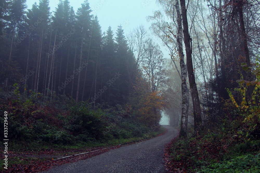 Naklejka premium Austria