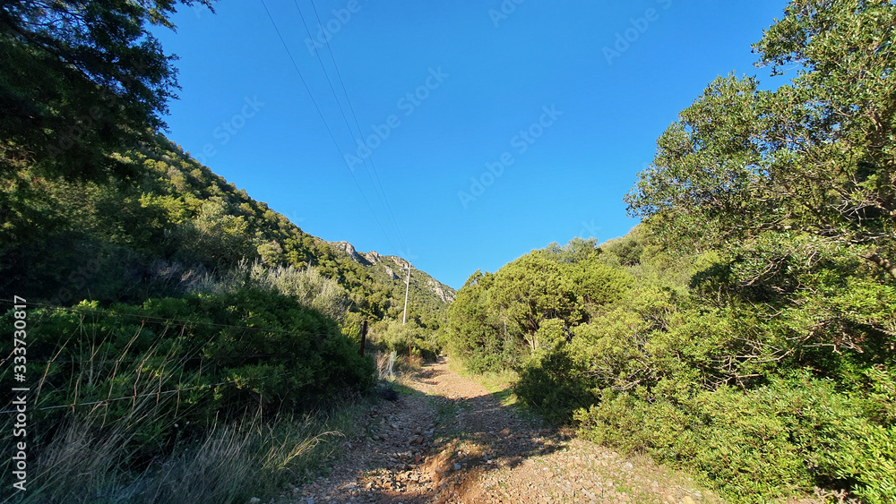 sentiero di montagna