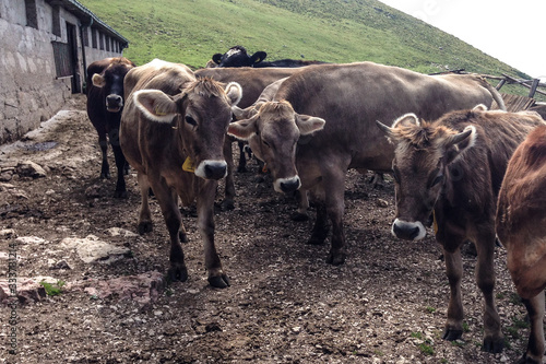 Wallpaper Mural Meeting Torontodigital.ca