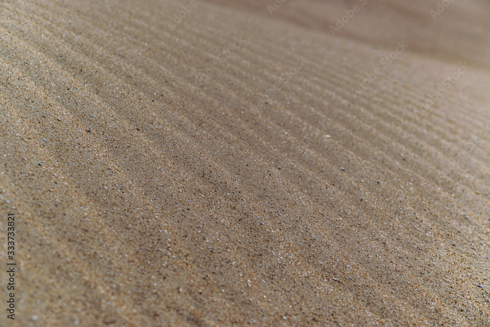 Beautiful sand structure in the Sahara desert, sand dunes, macro Beautiful sand structure in the Sahara desert, sand dunes, macro