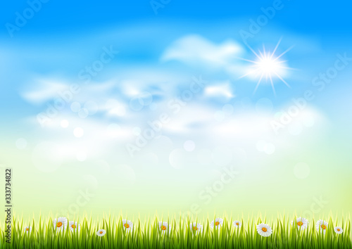 Blue sky with clouds, green grass and chamomile, vector background.