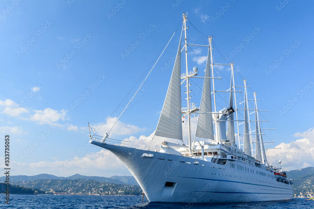 Obraz premium Cruise ship