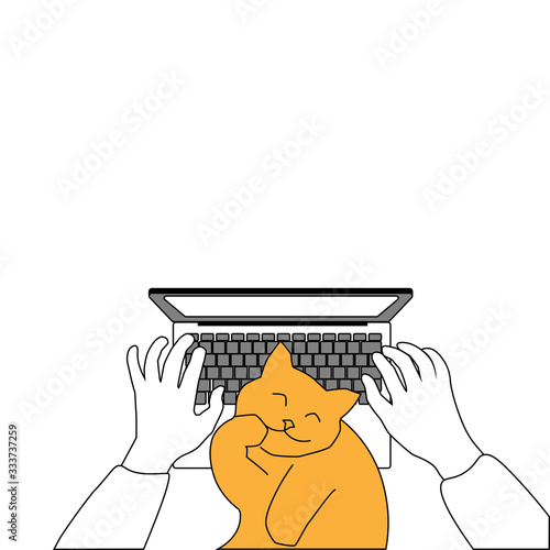 Working from home or remotely: hands typing on laptop and red cat. Digital drawing can be used in greeting cards, posters, flyers, banners, logos, web design, etc. Vector illustration. EPS10