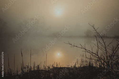 Mystical lake on a foggy morning