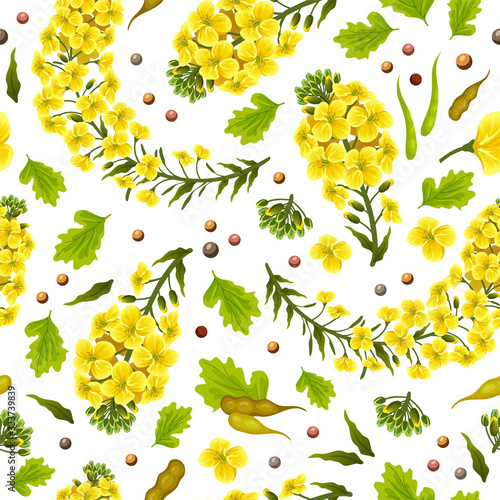 Pattern rape flowers and leaves, canola. Brassica napus. Seamless vector background.