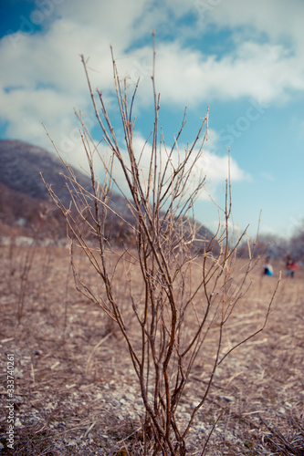 Melancholy landscape