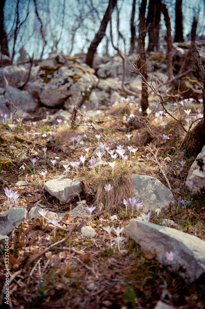 Melancholy landscape Melancholy landscape