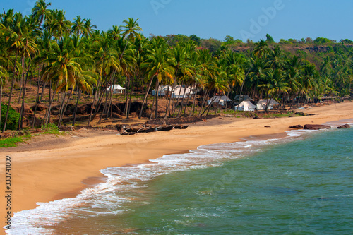 Coast of the sea with palm trees on Goa..