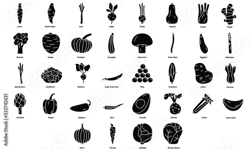 Set of Vegetable Icons Illustrations Designs
