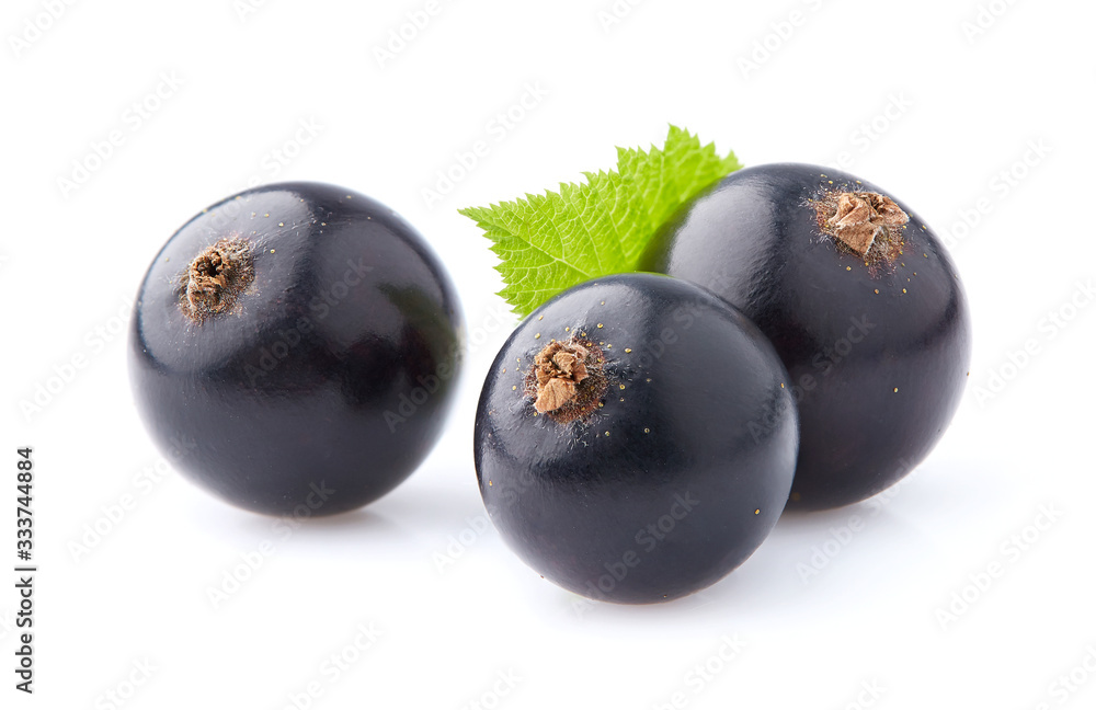 Black currant berry isolated on white background Black currant berry isolated on white background