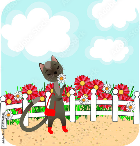 Cartoon beautiful cat walking with a purse and red boots with a flower in her paw on the path next to a flower bed, vector illustration