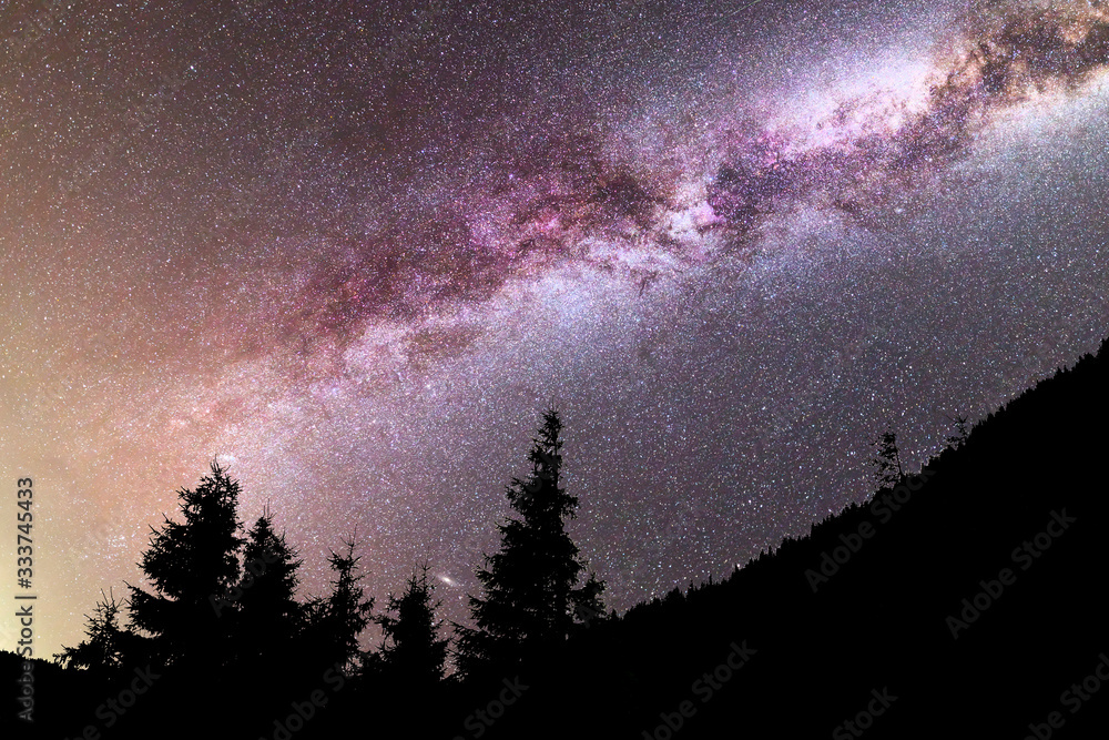 Purple Milky way falling stars pine trees silhouette Purple Milky way falling stars pine trees silhouette